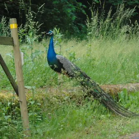 B&B La Cueille Nocleg ze śniadaniem